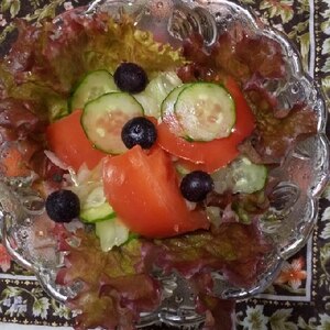 ・新たまねぎ・トマト・フリルレタスのサラダ
